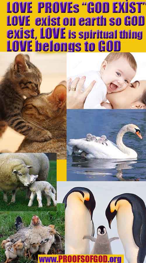 god is real, god exists here proofs, god's proofs, proofs of god, evidences of god, proofs-god, evidences-god, signs-god 