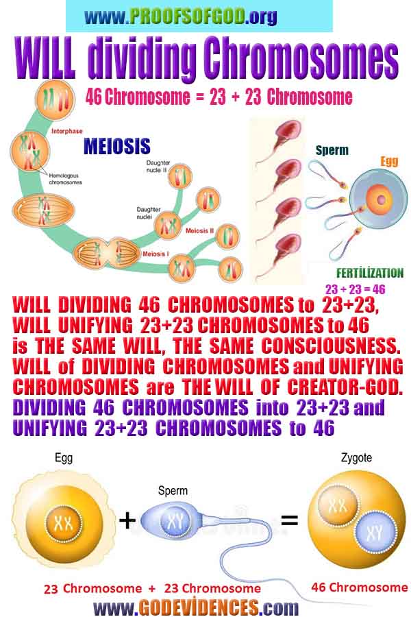  god is real, god exists here proofs, god's proofs, proofs of god, evidences of god, proofs-god, evidences-god, signs-god