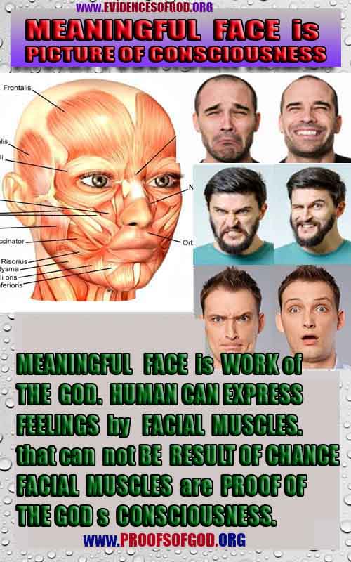 god is real, god exists here proofs, god's proofs, proofs of god, evidences of god, proofs-god, signs-god