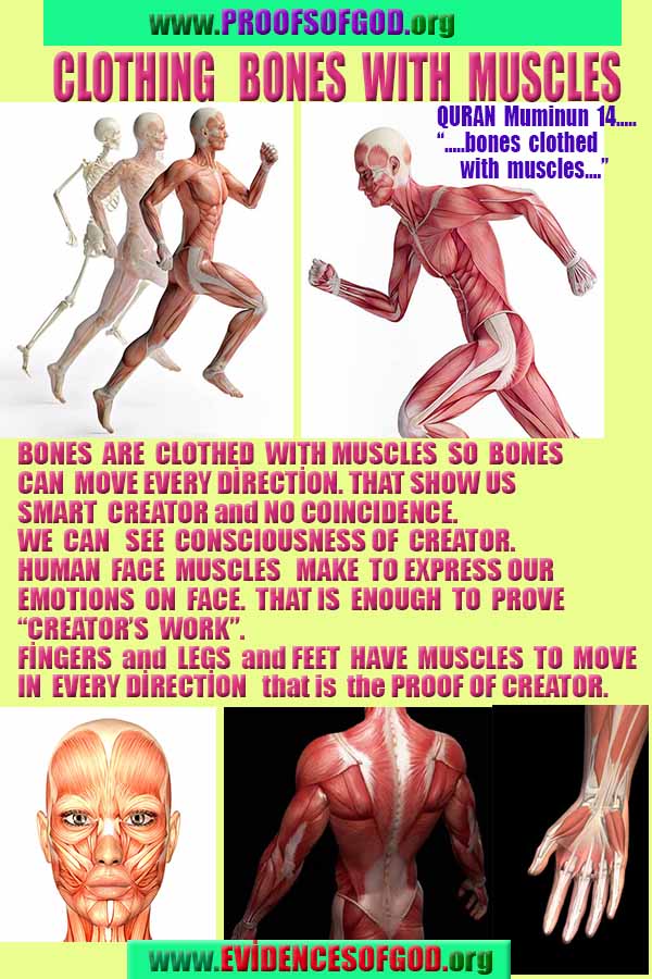 god is real, god exists here proofs, god's proofs, proofs of god, evidences of god, proofs-god, evidences-god 